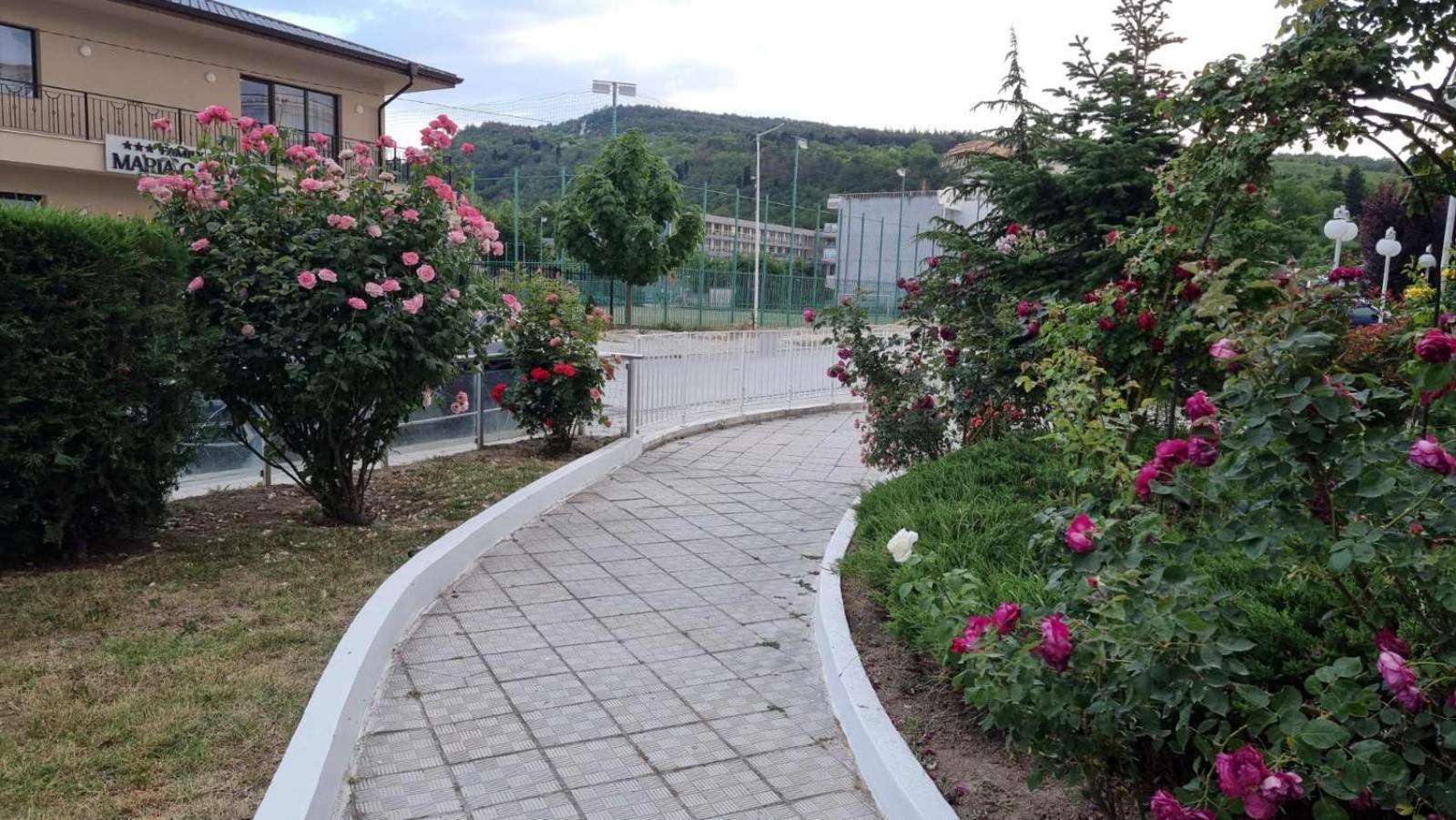 Luxurious Studios Nani 克兰内沃 外观 照片